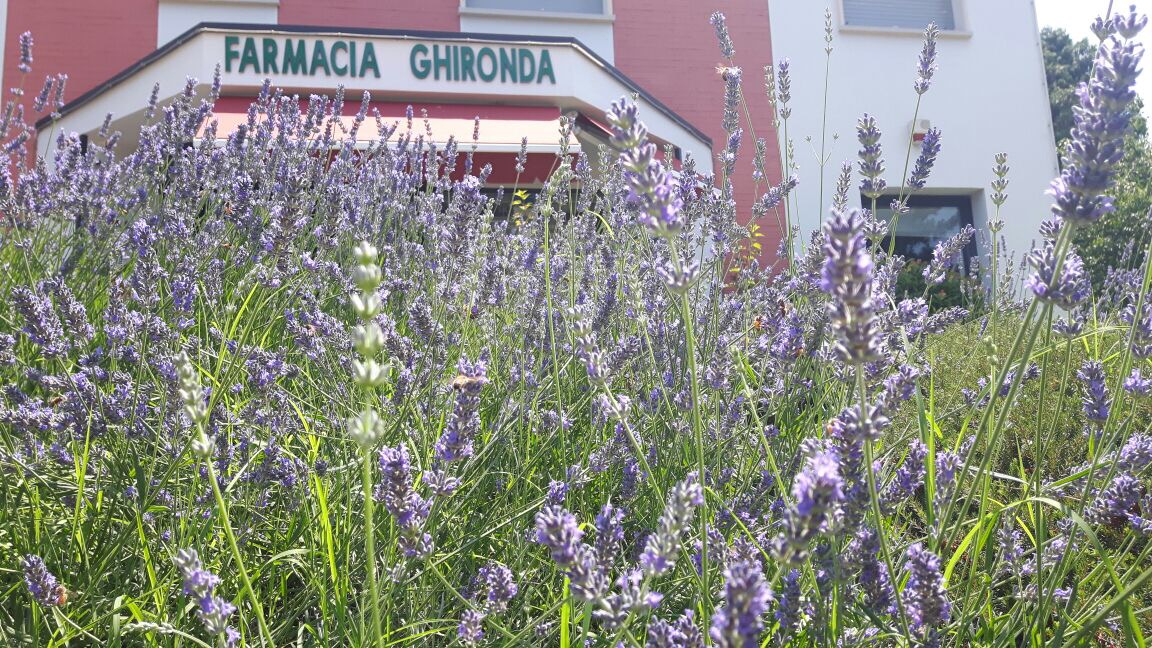 ERBORISTERIA E FITOTERAPIA